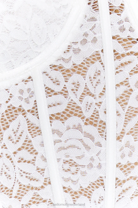 let\'s go party kanten crop top wit Hello Molly T6BF8759 kleding